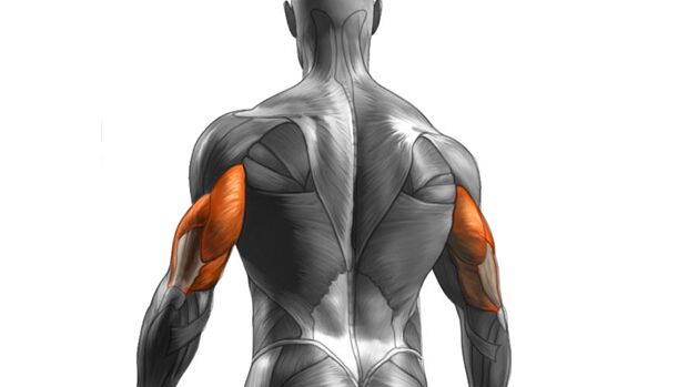 Cable Tricep Extension Guide Form Common Mistakes Benefits More