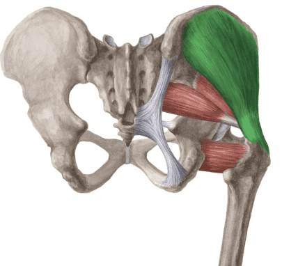 Kneeling Squat Guide: How-To, Muscles Worked, Benefits & More