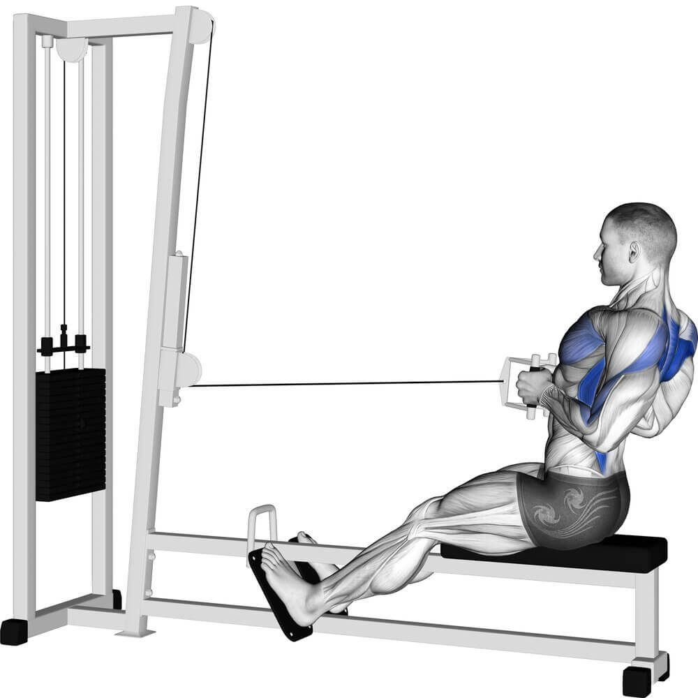 Chest Supported Row Form Muscles Worked Benefit Alternative More